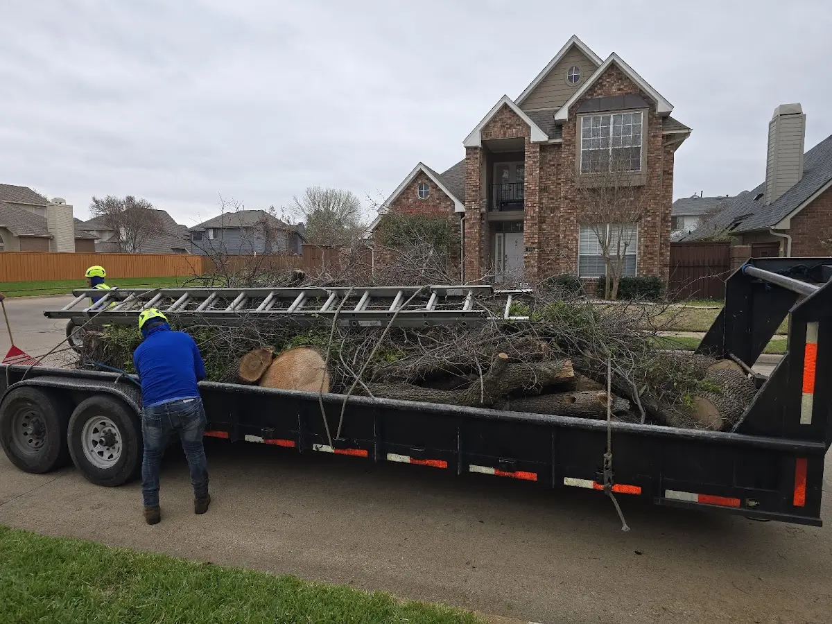 Expert Tree Fertilization with proper safety equipment in Teasdale